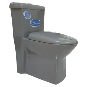 توالت فرنگی